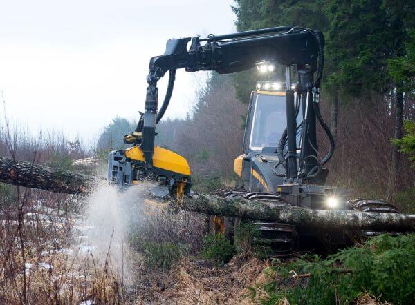 heavy duty machinery at work in the logging industry